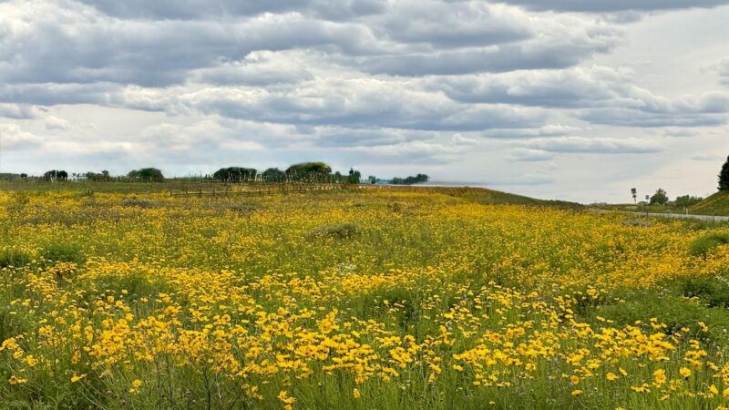Greater Lancaster Heritage Pathway - Lancaster, PA