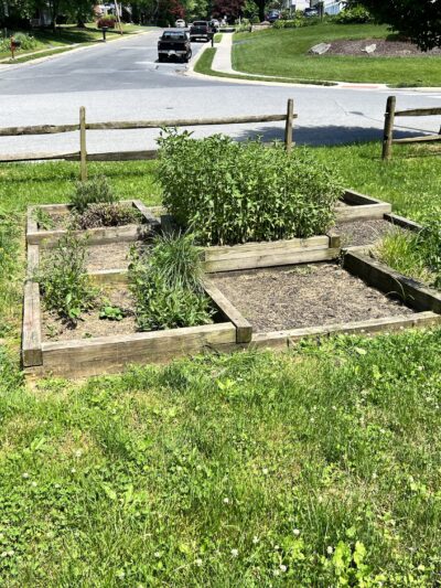 Holly Pointe Park - Lancaster, PA