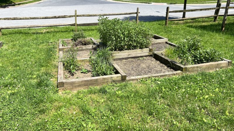 Holly Pointe Park - Lancaster, PA