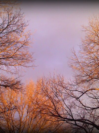 Jay Cee Park - Lancaster, PA