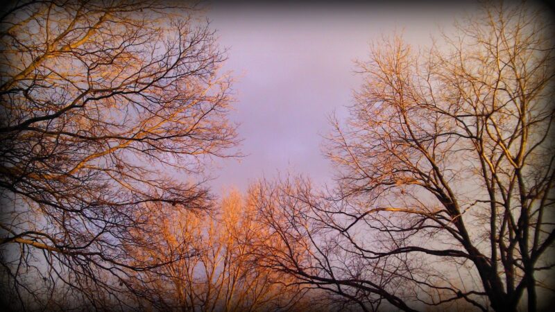 Jay Cee Park - Lancaster, PA