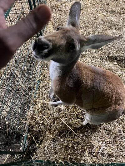 Lampeter Community Park - Lancaster, PA
