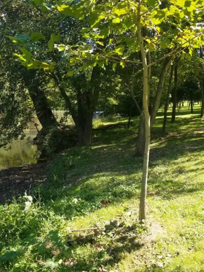 Lancaster County Central Park - Lancaster, PA