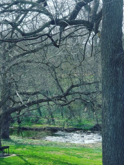 Lancaster County Central Park Ball Field #1 - Lancaster, PA
