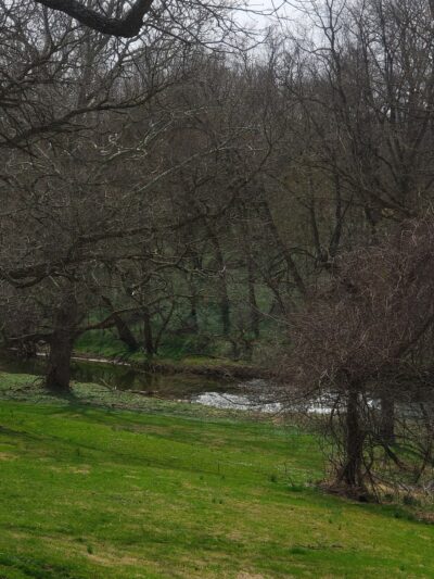 Lancaster County Central Park Ball Field #1 - Lancaster, PA