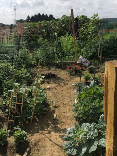 Lancaster County Central Park Garden Plots - Lancaster, PA