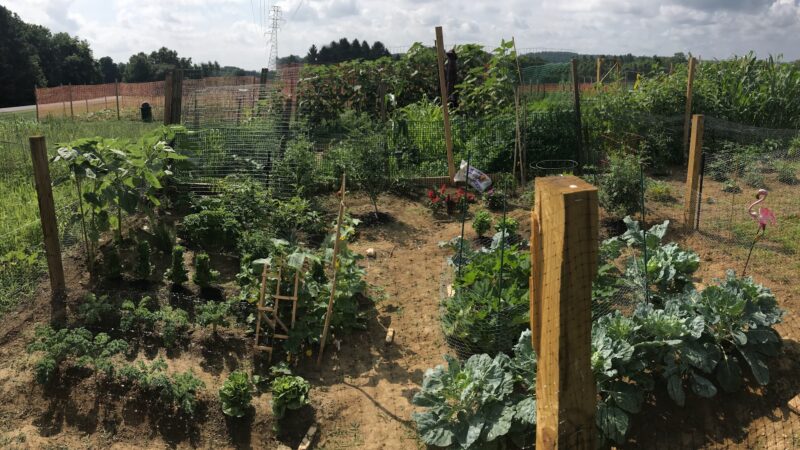 Lancaster County Central Park Garden Plots - Lancaster, PA