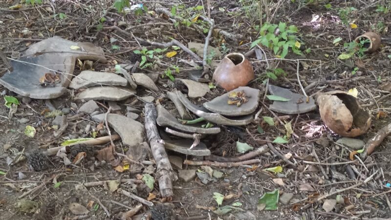Lancaster County Central Park Garden Plots - Lancaster, PA