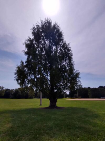 Lancaster County Central Park Muhlenberg/Equestrian Parking Lot - Lancaster, PA