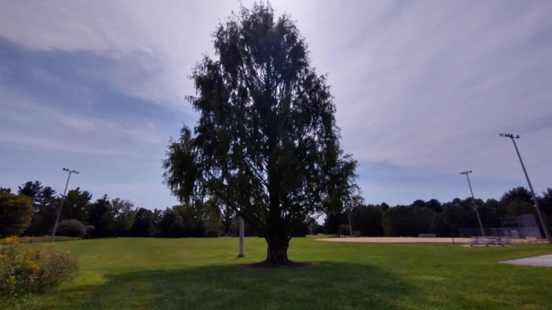 Lancaster County Central Park Muhlenberg/Equestrian Parking Lot - Lancaster, PA
