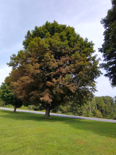 Lancaster County Central Park Muhlenberg/Equestrian Parking Lot - Lancaster, PA