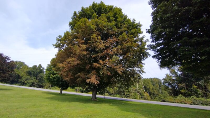 Lancaster County Central Park Muhlenberg/Equestrian Parking Lot - Lancaster, PA