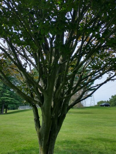 Lancaster County Central Park Muhlenberg/Equestrian Parking Lot - Lancaster, PA