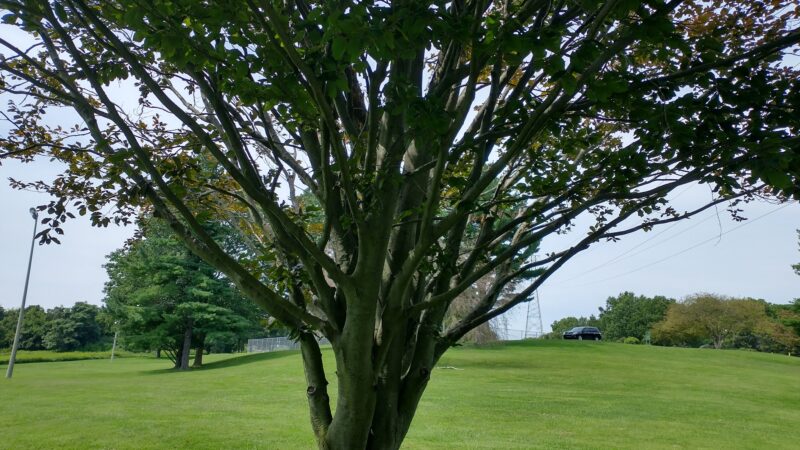 Lancaster County Central Park Muhlenberg/Equestrian Parking Lot - Lancaster, PA