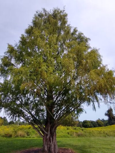 Lancaster County Central Park Muhlenberg/Equestrian Parking Lot - Lancaster, PA