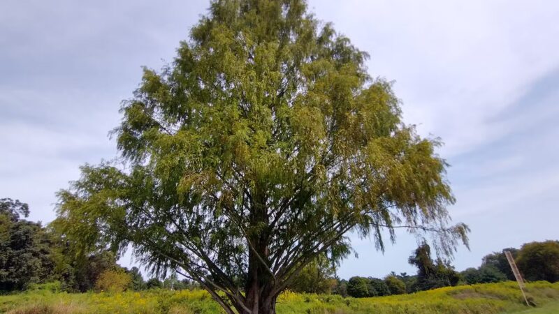 Lancaster County Central Park Muhlenberg/Equestrian Parking Lot - Lancaster, PA