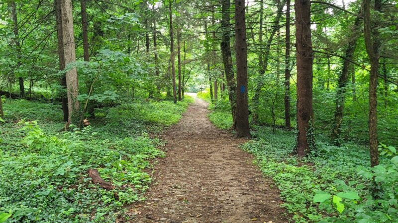Landis Woods Park & trails - Lancaster, PA