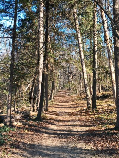 Landis Woods Park & trails - Lancaster, PA