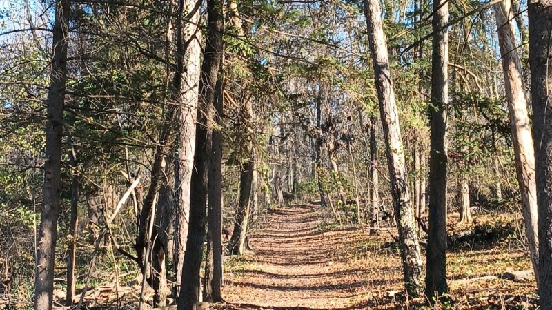 Landis Woods Park & trails - Lancaster, PA