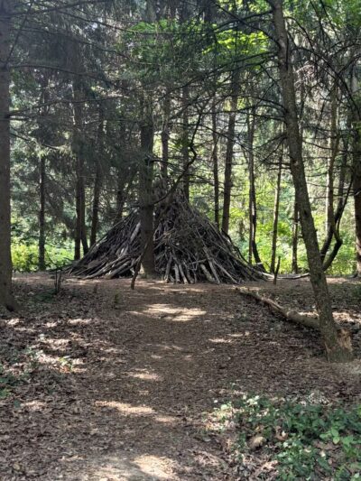 Landis Woods Park & trails - Lancaster, PA