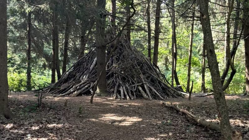 Landis Woods Park & trails - Lancaster, PA