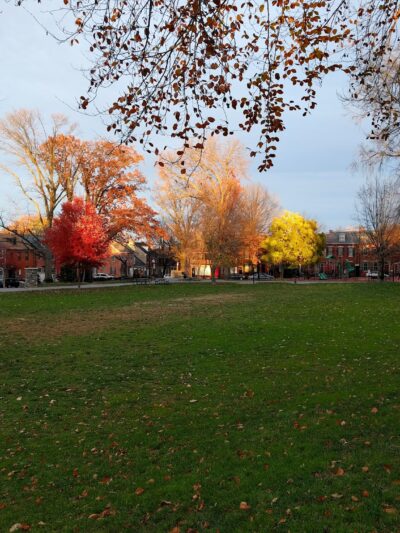 Musser Park - Lancaster, PA