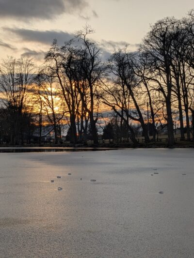 Stauffer Park - Lancaster, PA