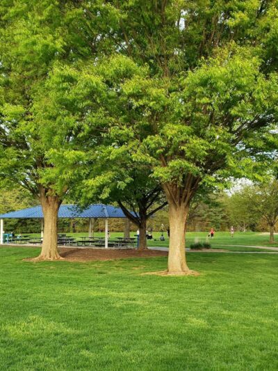 Stoner Park - Lancaster, PA