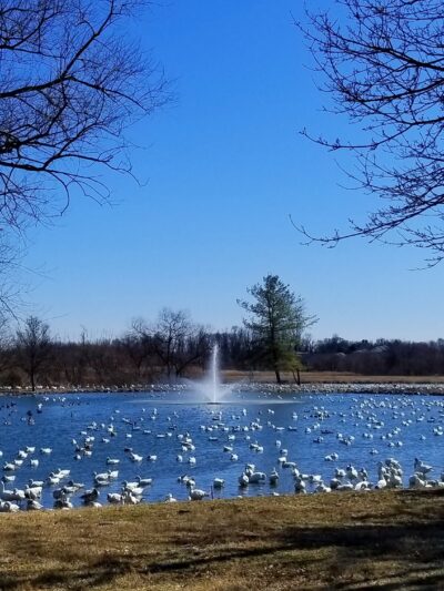 Wood's Edge Park - Lancaster, PA