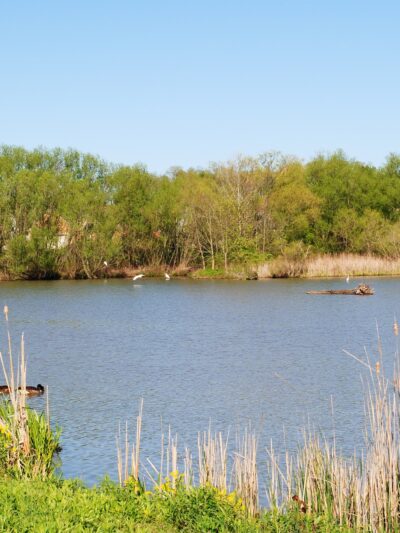 Wood's Edge Park - Lancaster, PA