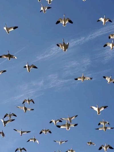 Wood's Edge Park - Lancaster, PA