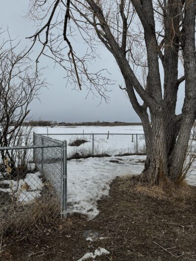 Lander Dog Park - Lander, WY