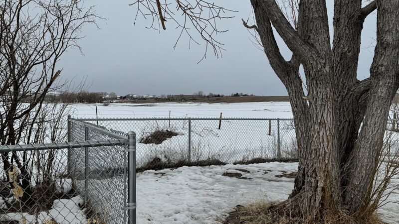 Lander Dog Park - Lander, WY