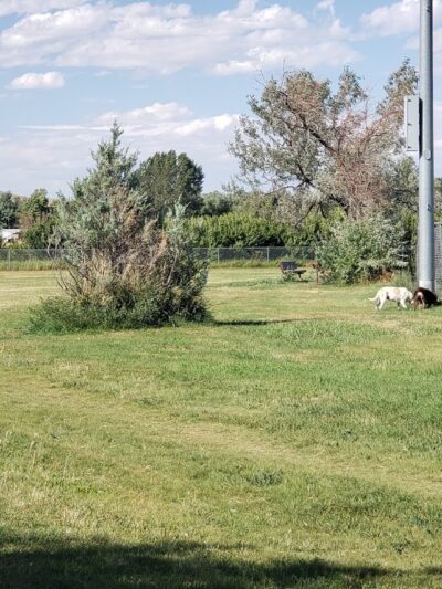 Lander Dog Park - Lander, WY