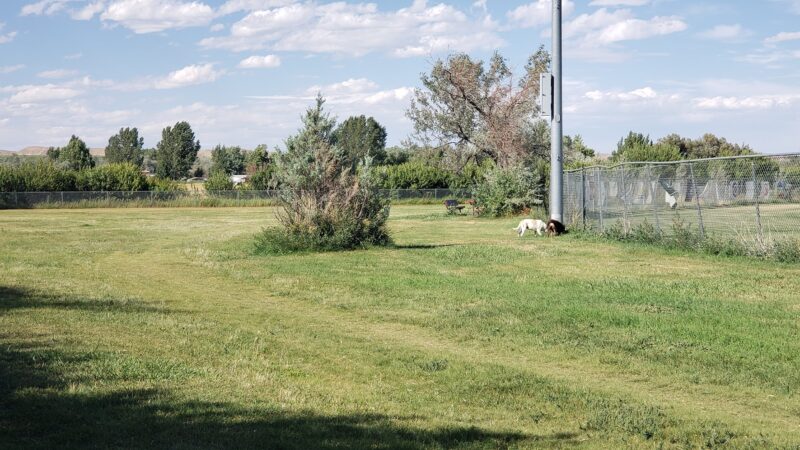 Lander Dog Park - Lander, WY