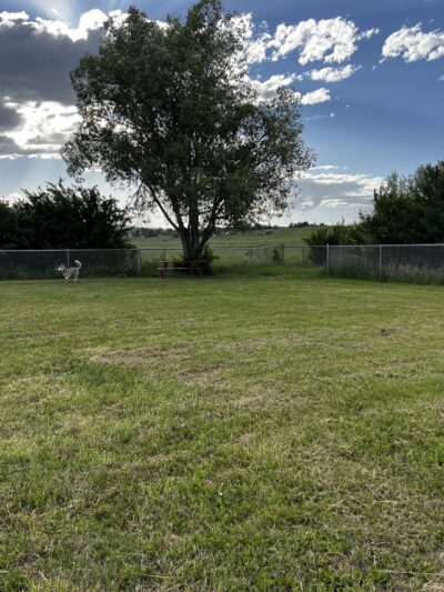 Lander Dog Park - Lander, WY