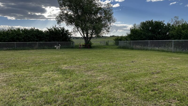 Lander Dog Park - Lander, WY