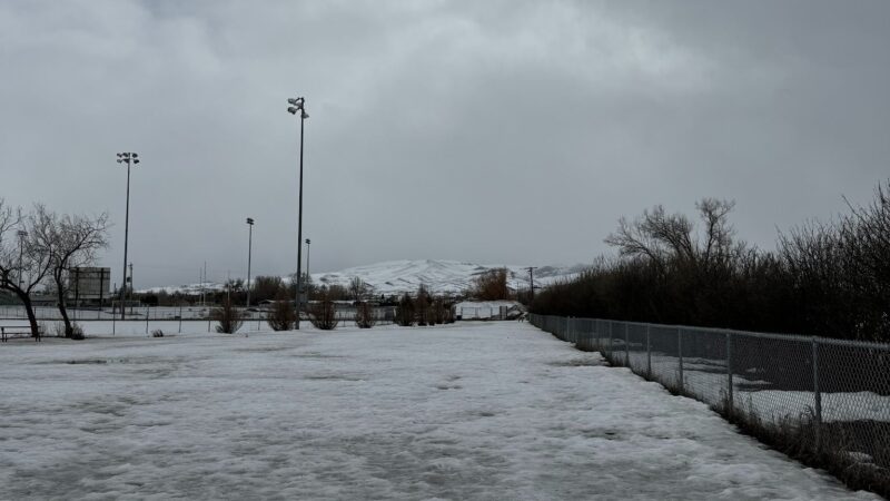 Lander Dog Park - Lander, WY