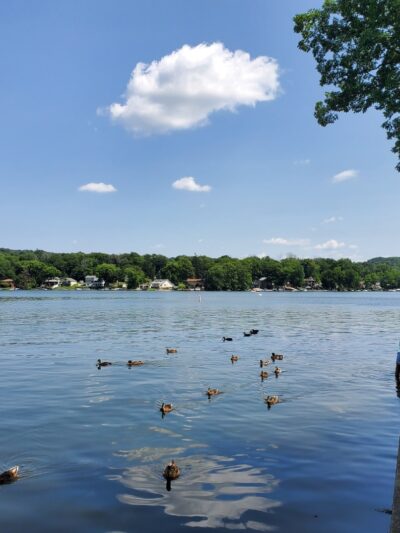 Hopatcong State Park - Landing, NJ