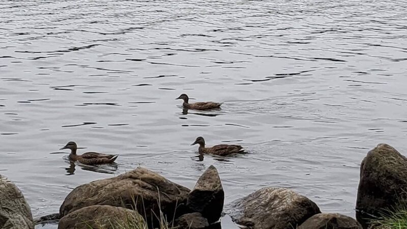 Shore Hills Park - Landing, NJ