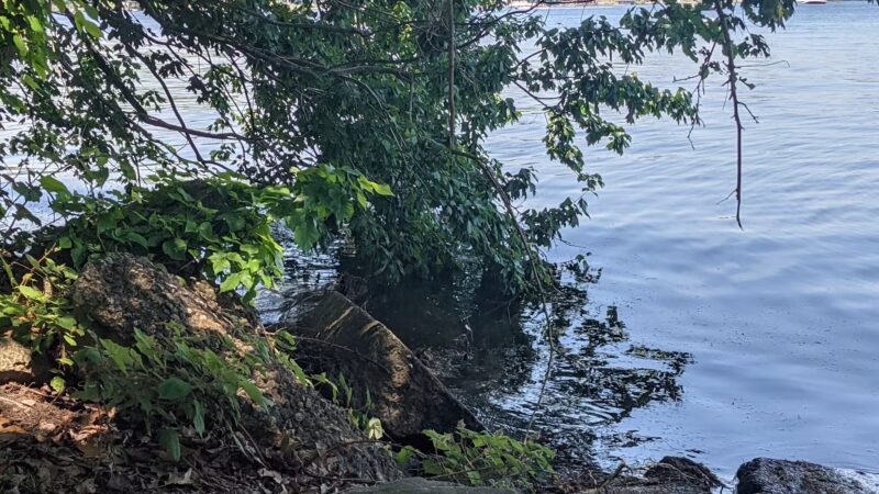 Shore Hills Park - Landing, NJ