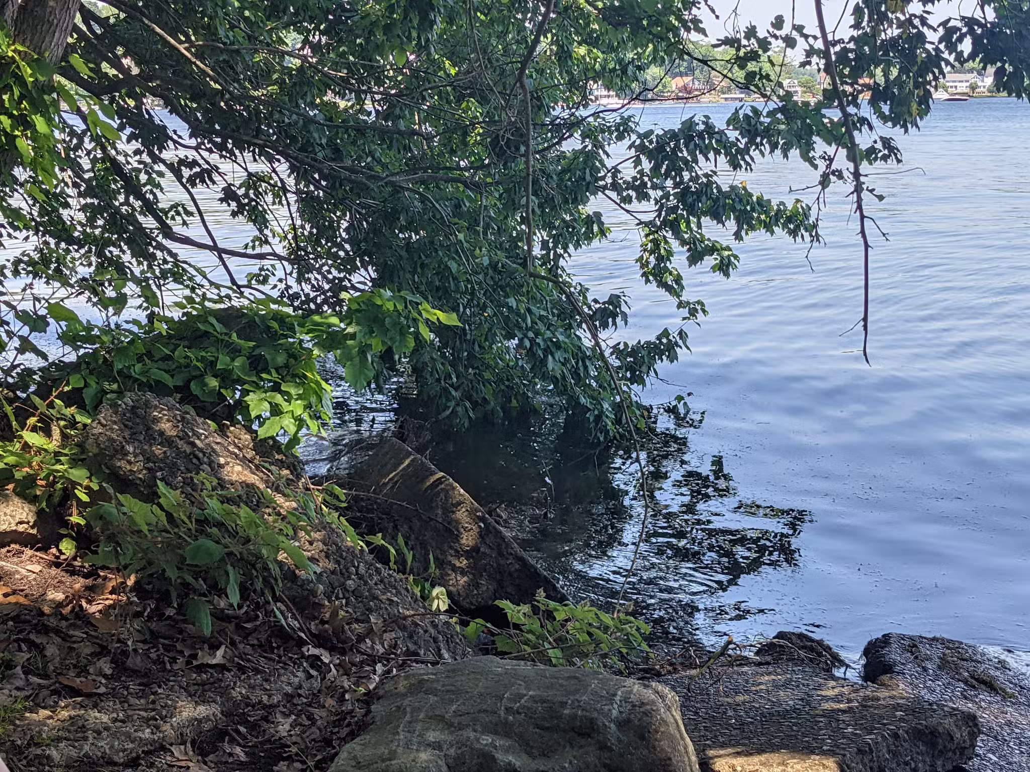 Shore Hills Park - Landing, NJ