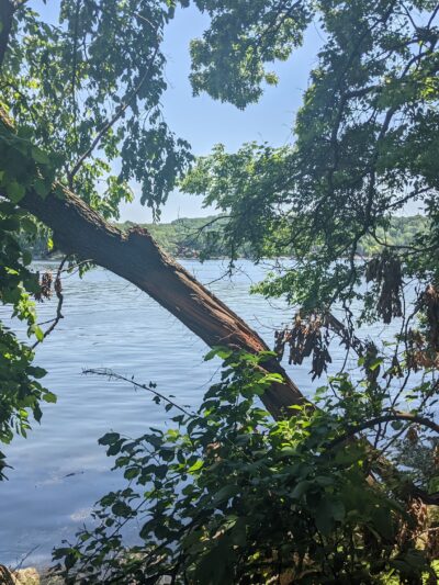 Shore Hills Park - Landing, NJ