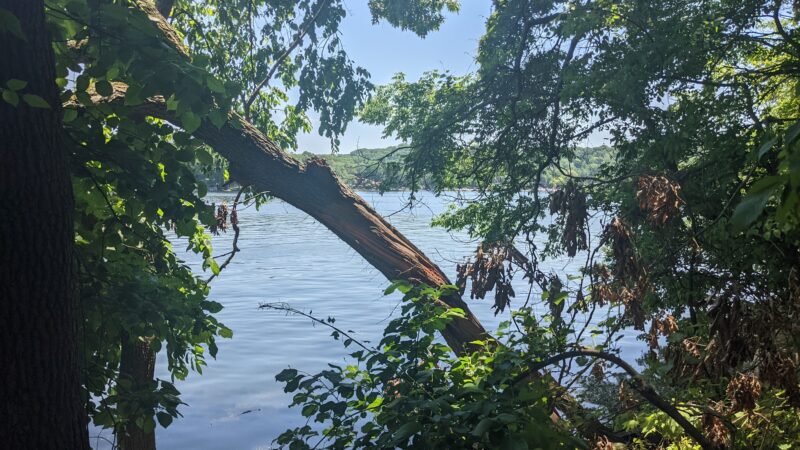 Shore Hills Park - Landing, NJ