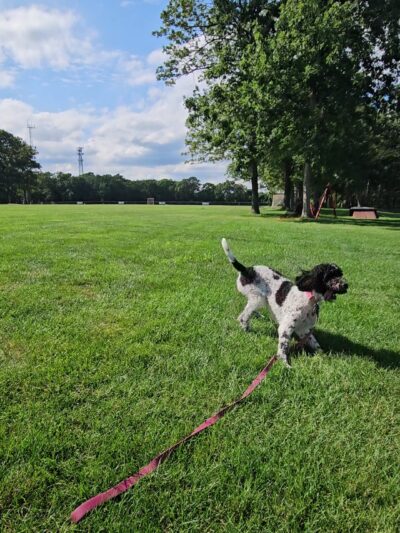 Gille Park - Lanoka Harbor, NJ