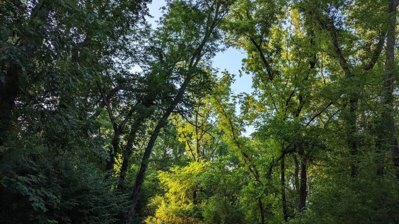 Angel Falls Trail - Lansing, KS