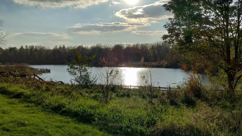 Soldan Dog Park - Lansing, MI