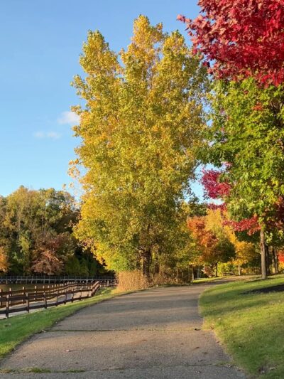 Soldan Dog Park - Lansing, MI