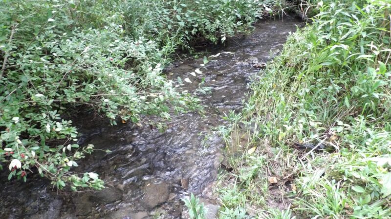 Lansing Center Trail - Lansing, NY