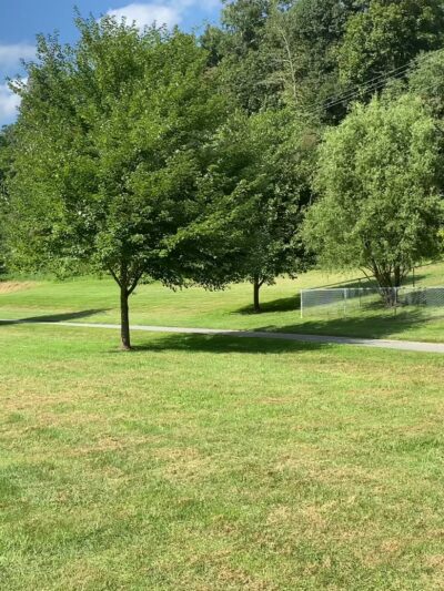 Dog Park area Lansing Creeper Trail Park - Lansing, NC